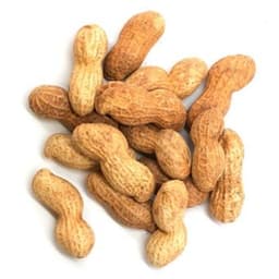 Peanuts in Shells 5 oz