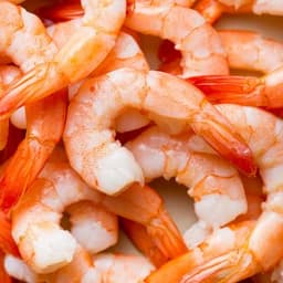 Shrimp 1.25 oz